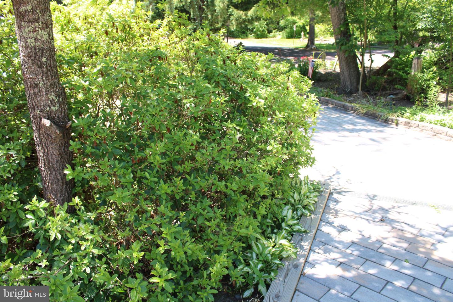 268 Steinmetz Rd Property Photo 109