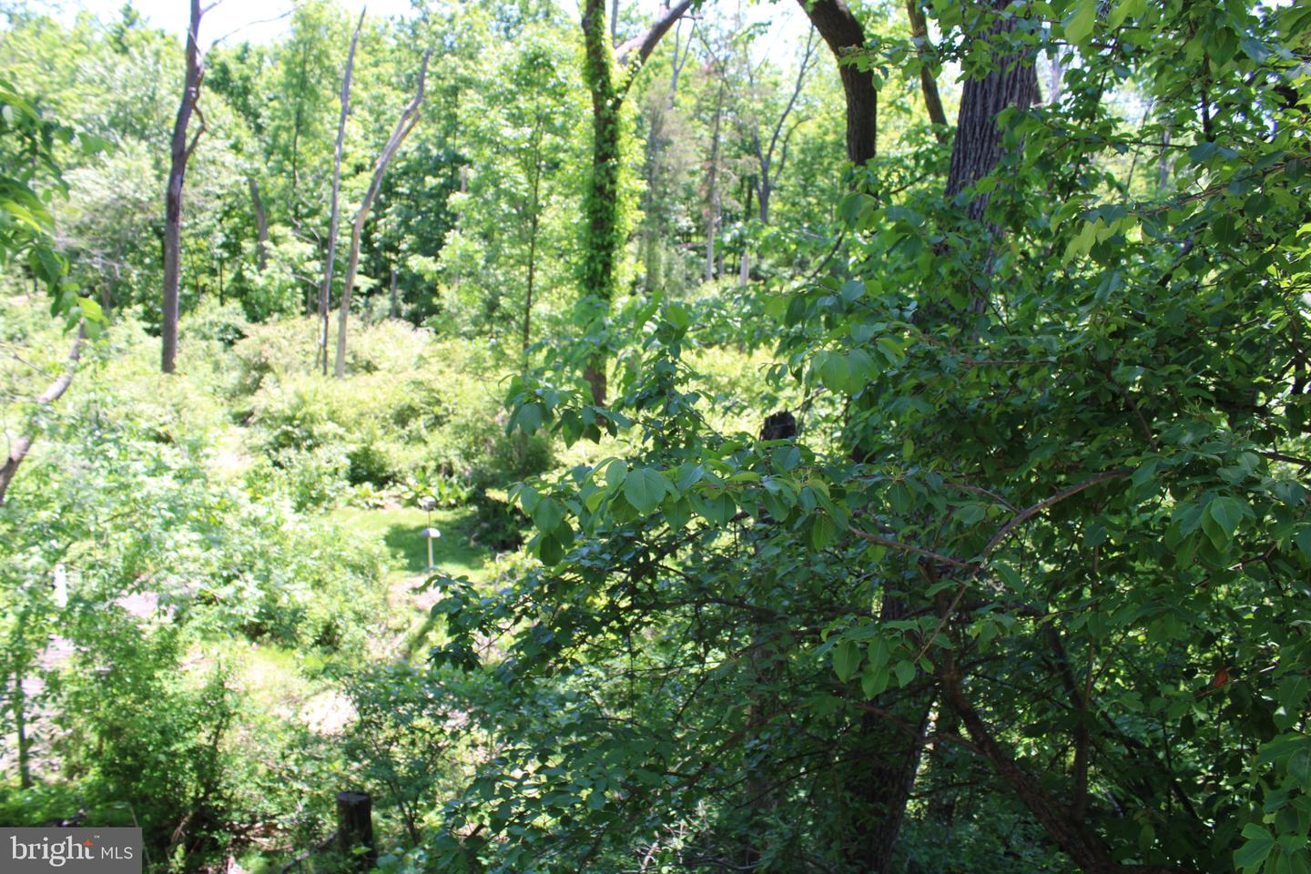 268 Steinmetz Rd Property Photo 110