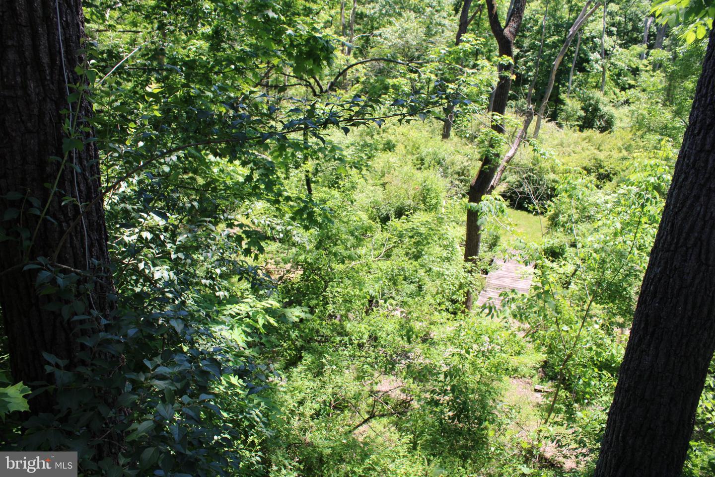 268 Steinmetz Rd Property Photo 111