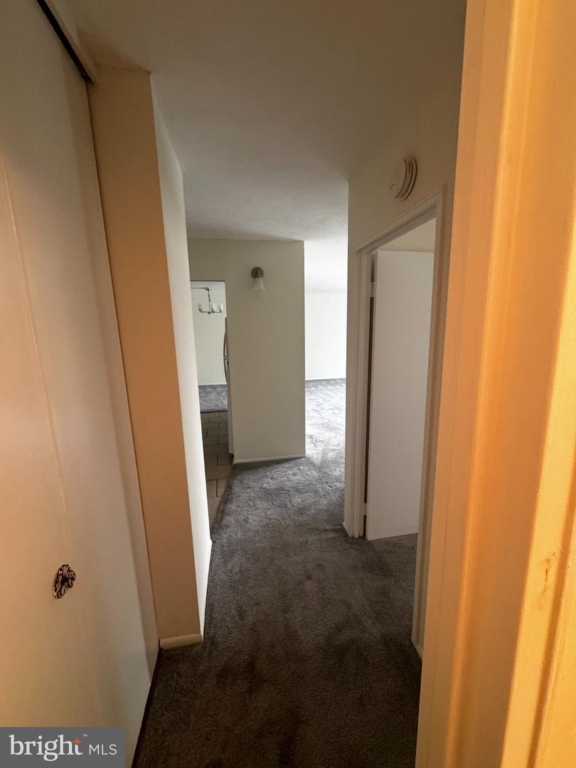 120 N Bethlehem Pike #305-a Property Photo 11
