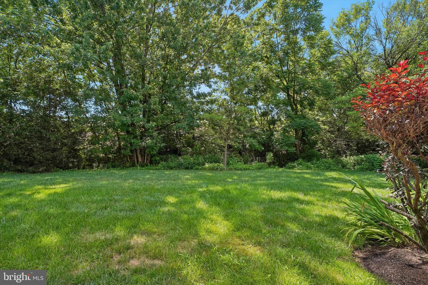 113 Dresher Woods Dr Property Photo 6