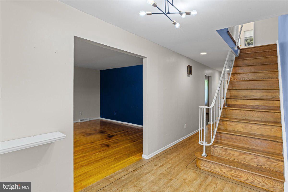 315 Harrison Ave Property Photo 6