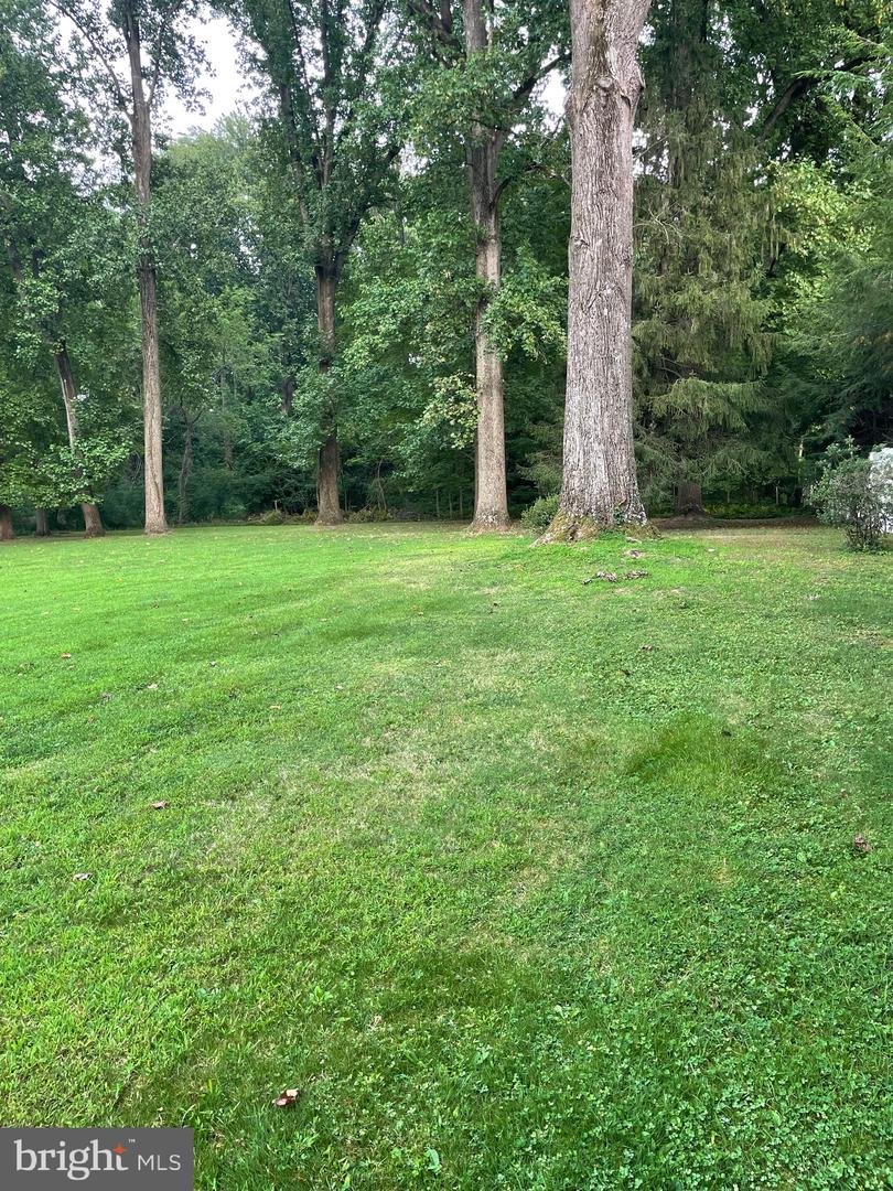 1305 Twining Rd Property Photo 62