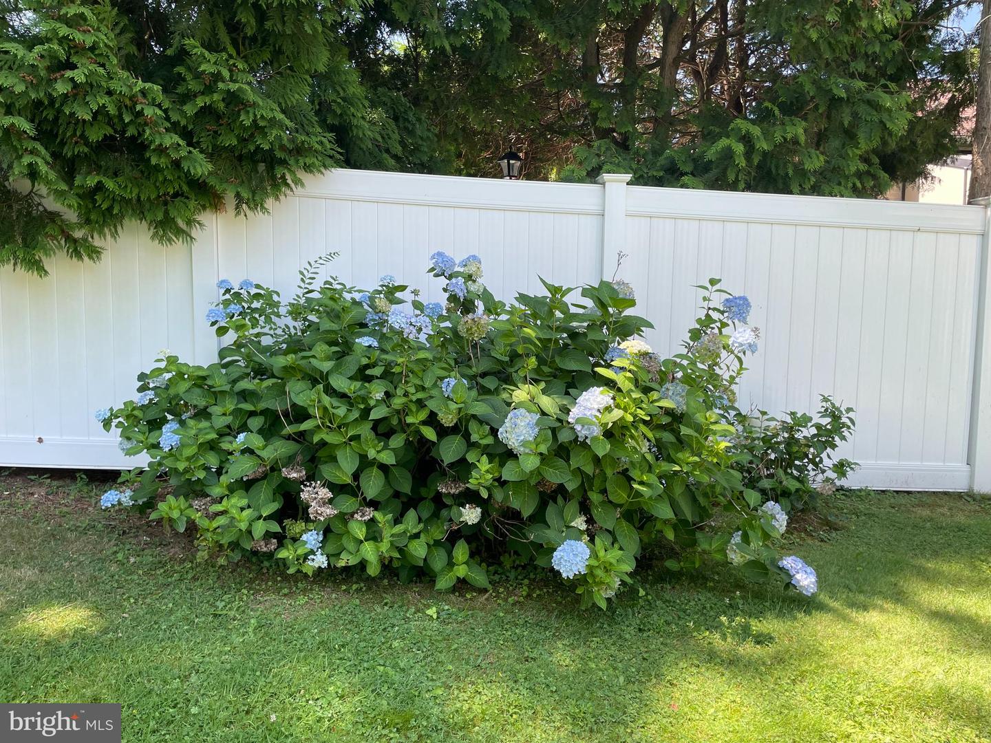 1305 Twining Rd Property Photo 64