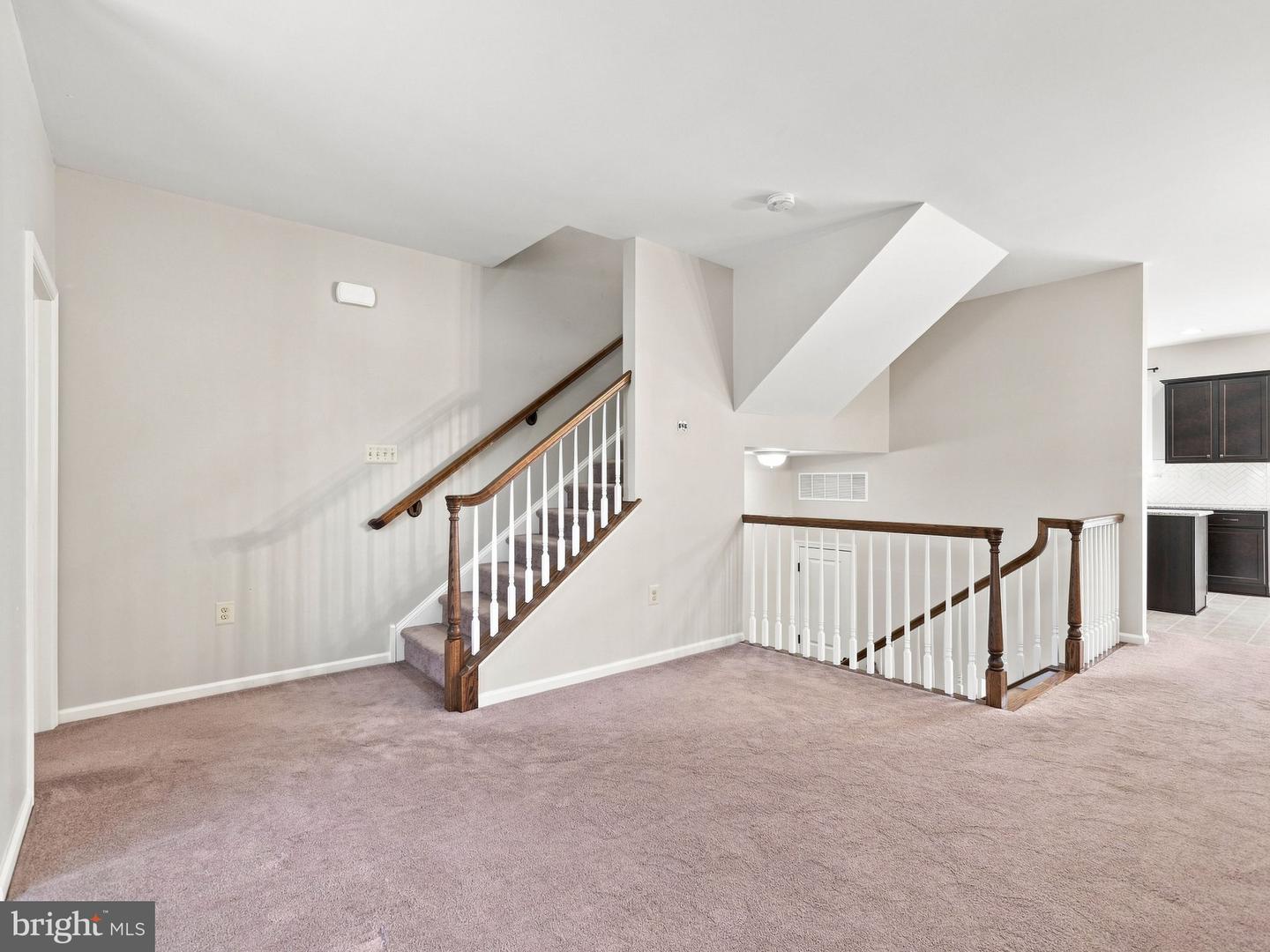 19 Rosy Ridge Ct Property Photo 10