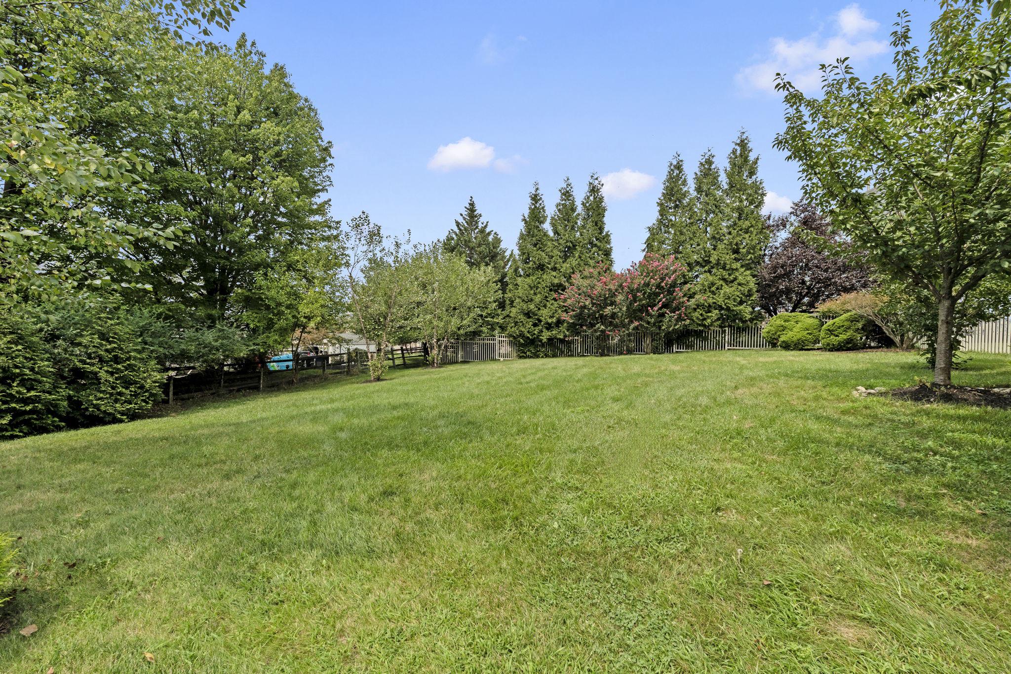 1015 Redtail Rd Property Photo 5