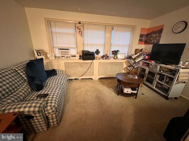 237 CENTRAL AVE Property Photo 1