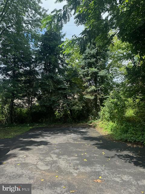 319 Runnymede Ave Property Photo 12