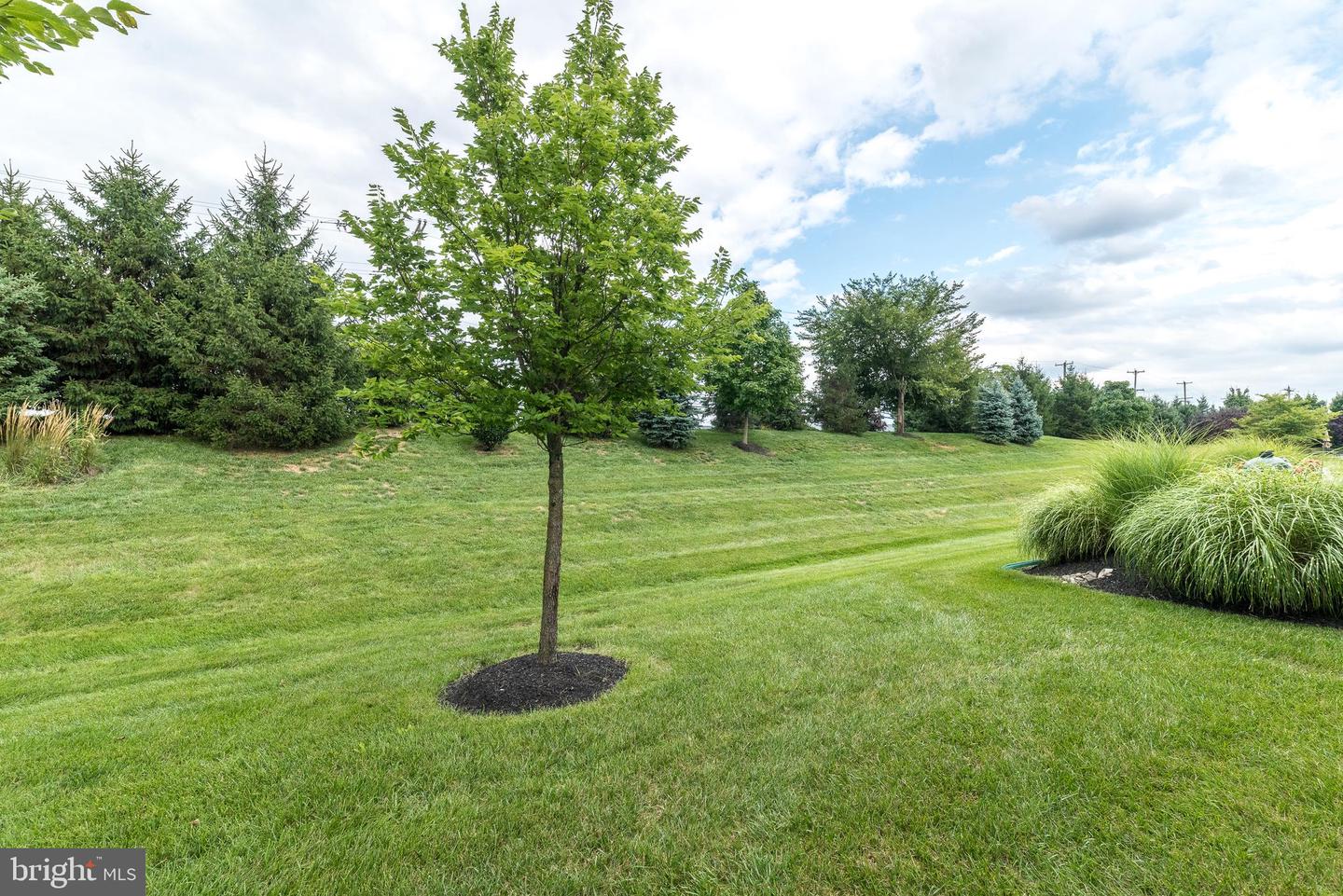 140 Redwood Street Property Photo 40