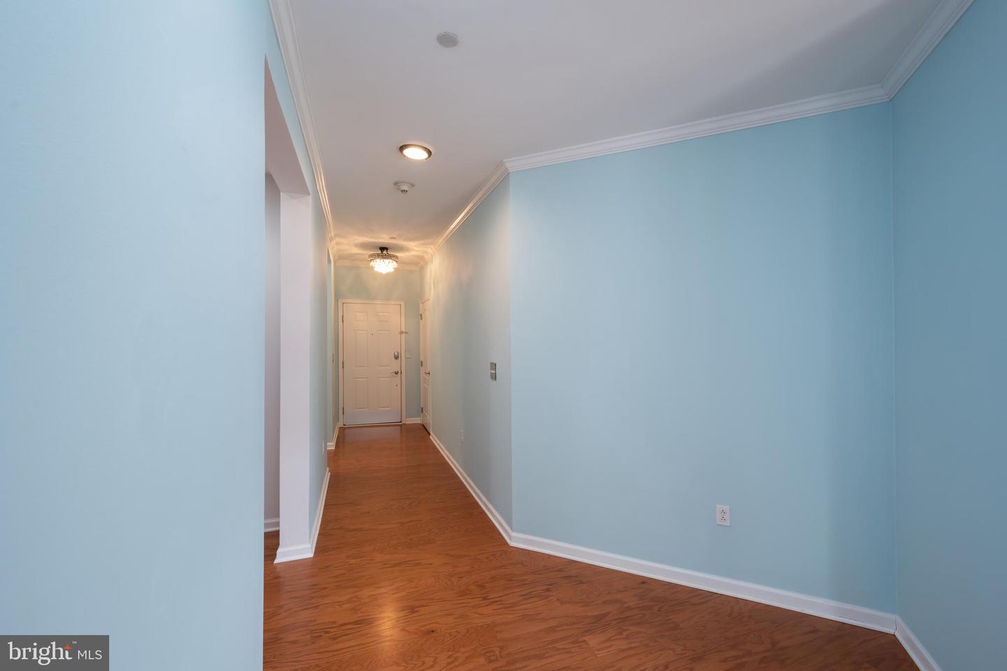 208 Carson Ter Property Photo 13