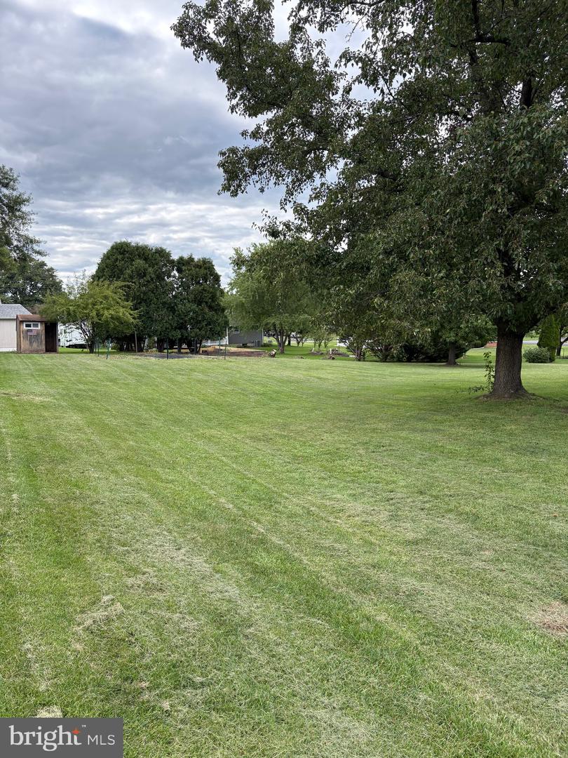 2911 Federal # Property Photo 4