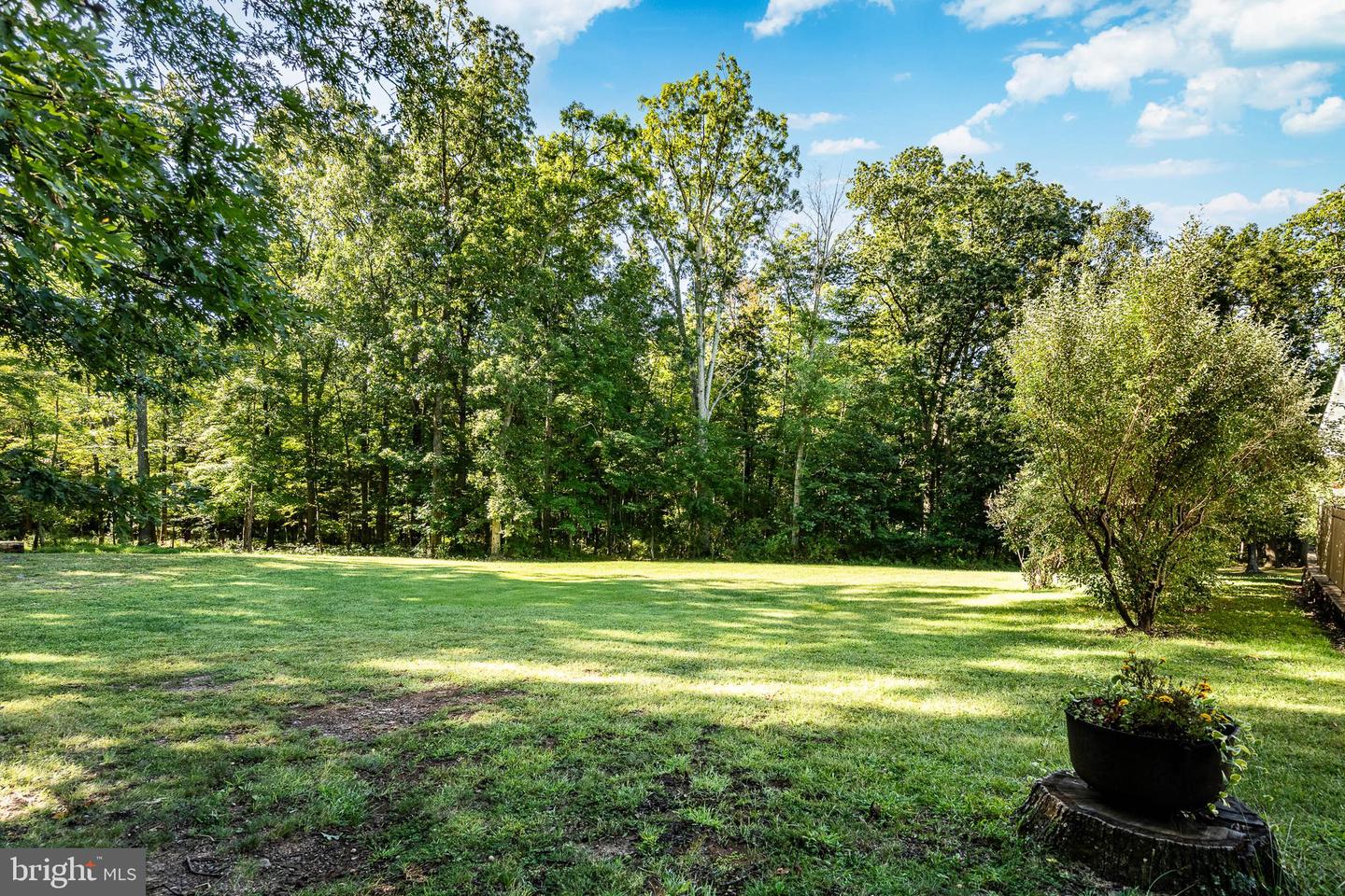 4331 E Campbell Rd Property Photo 68