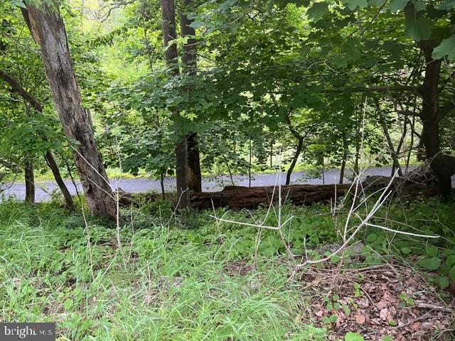 1787 Hendricks Rd Property Photo 10