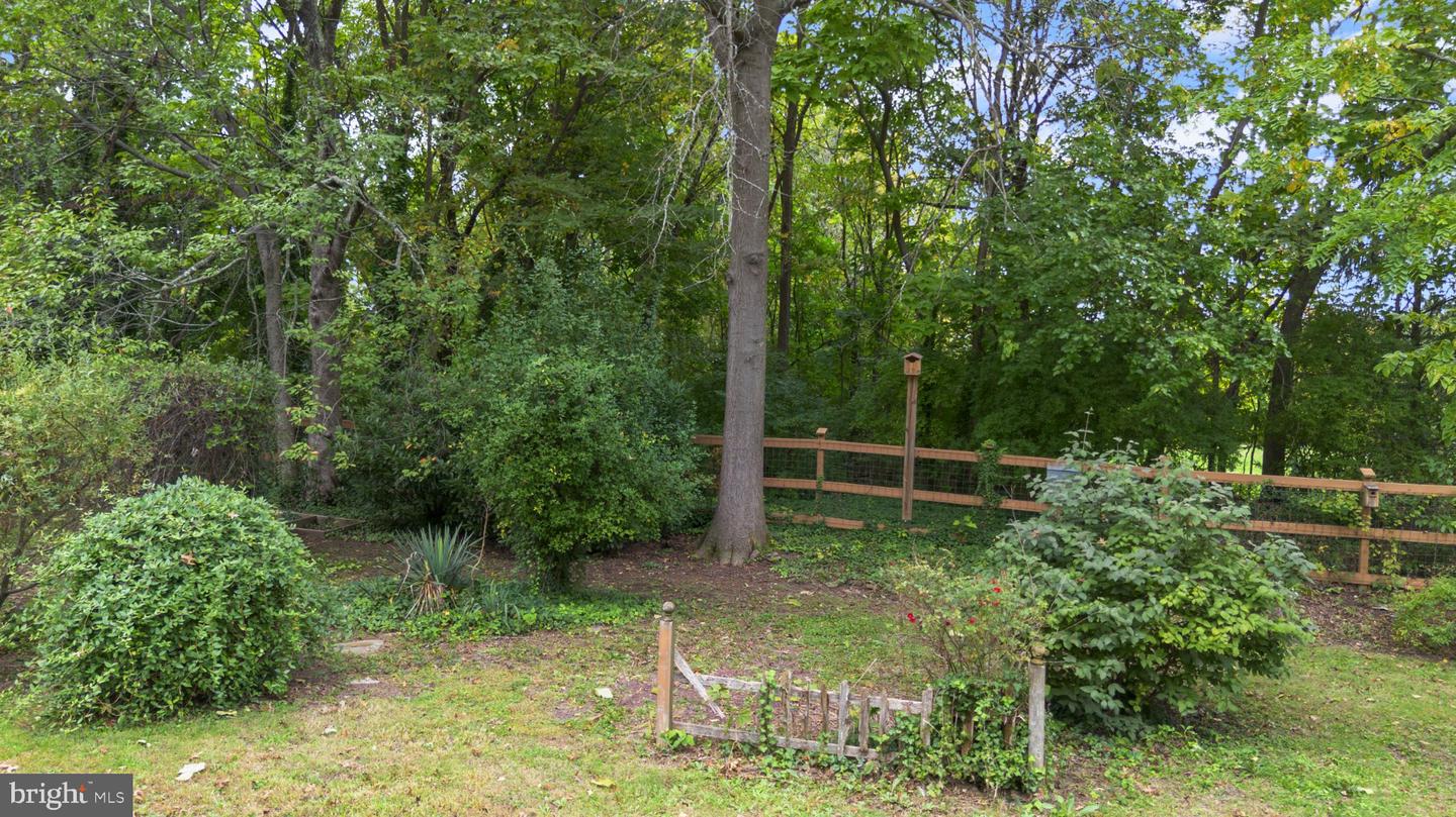 1851 W Marshall St Property Photo 74
