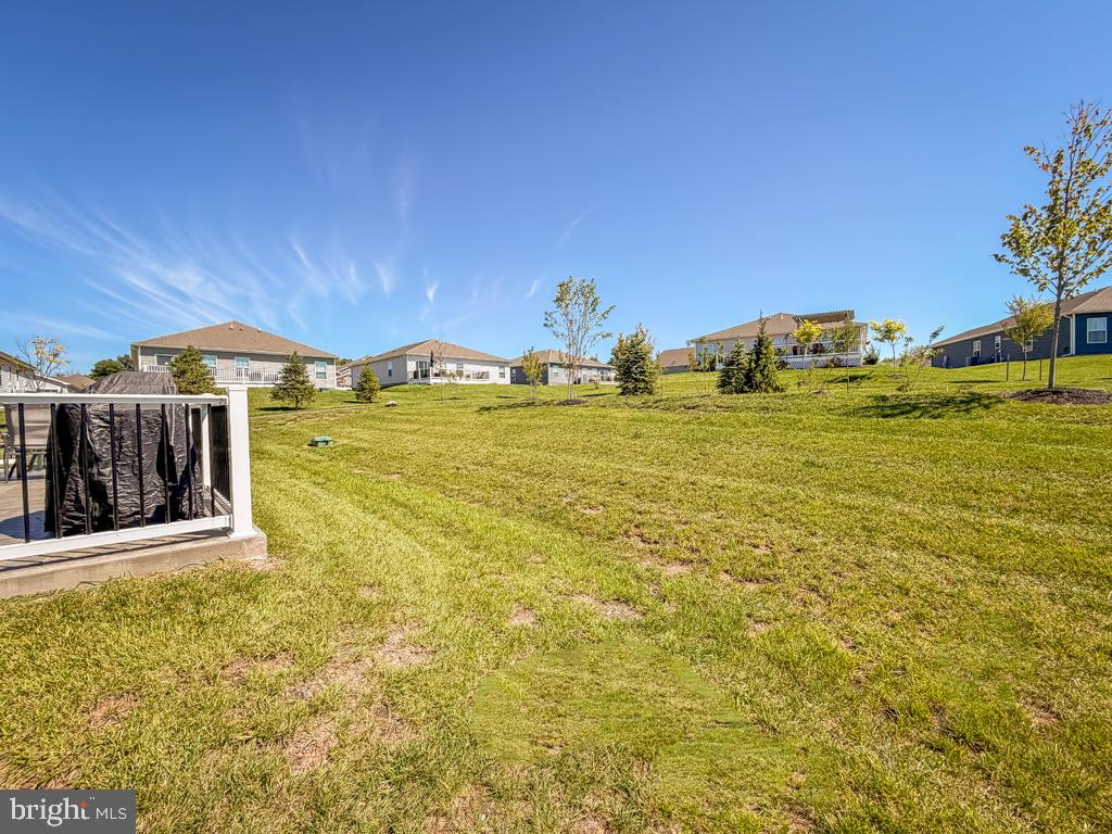 206 Lilly Property Photo 37