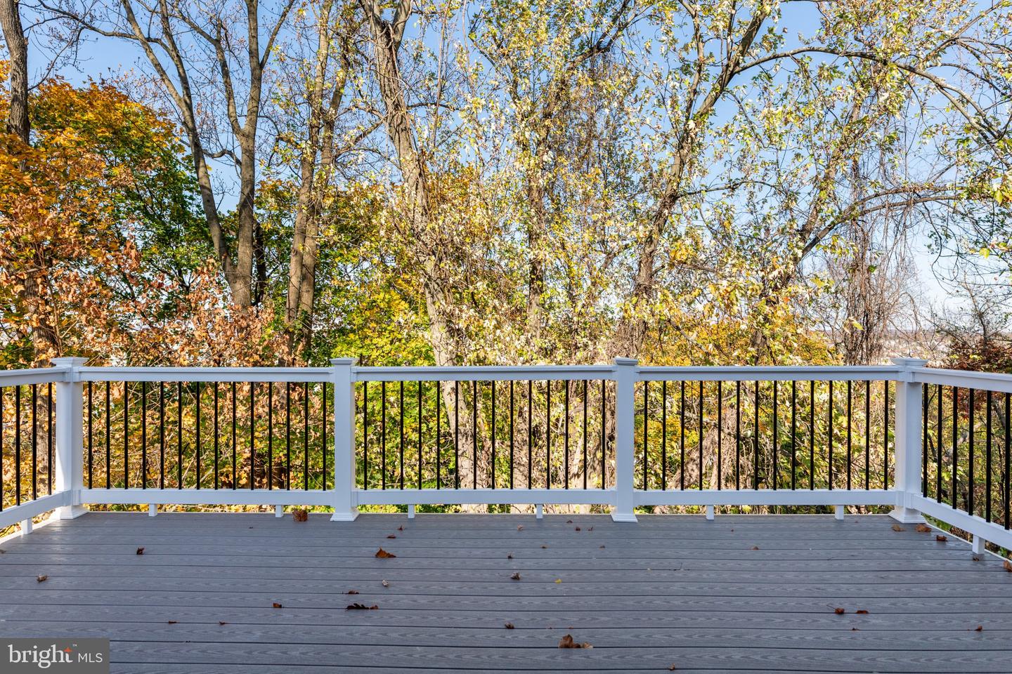 126 Yellowstone Rd Property Photo 29
