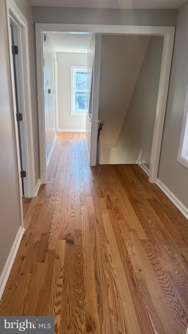 51 Jenkins Ave Property Photo 26