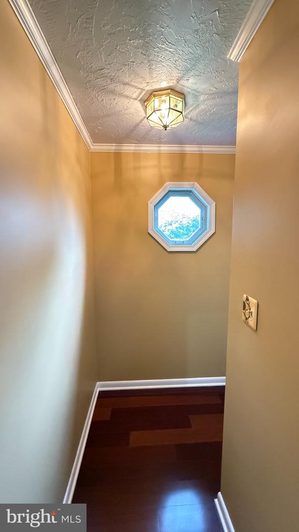 317 Prince Frederick St Property Photo 19
