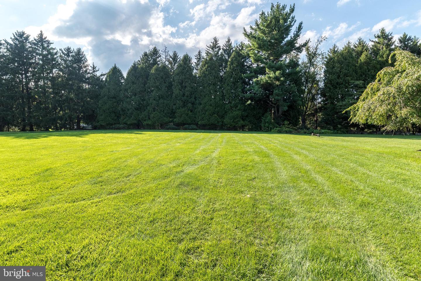 1724 Howe Ln Property Photo 62