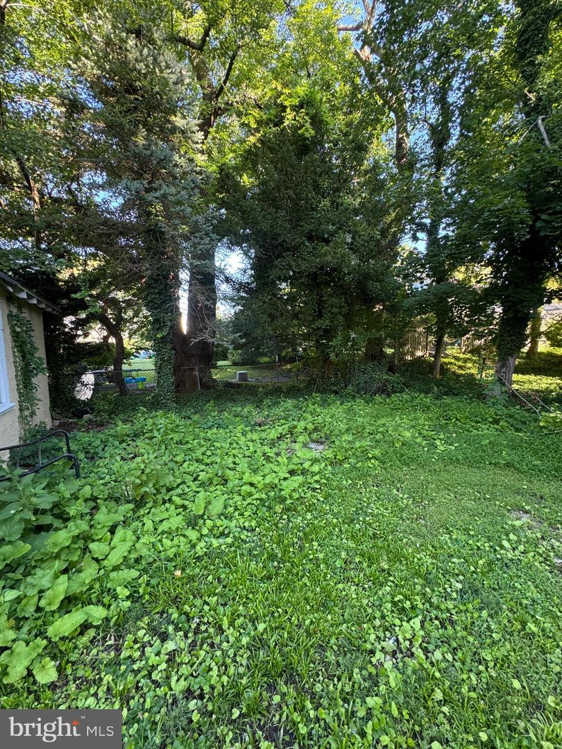 8210 Cadwalader Ave Property Photo 47