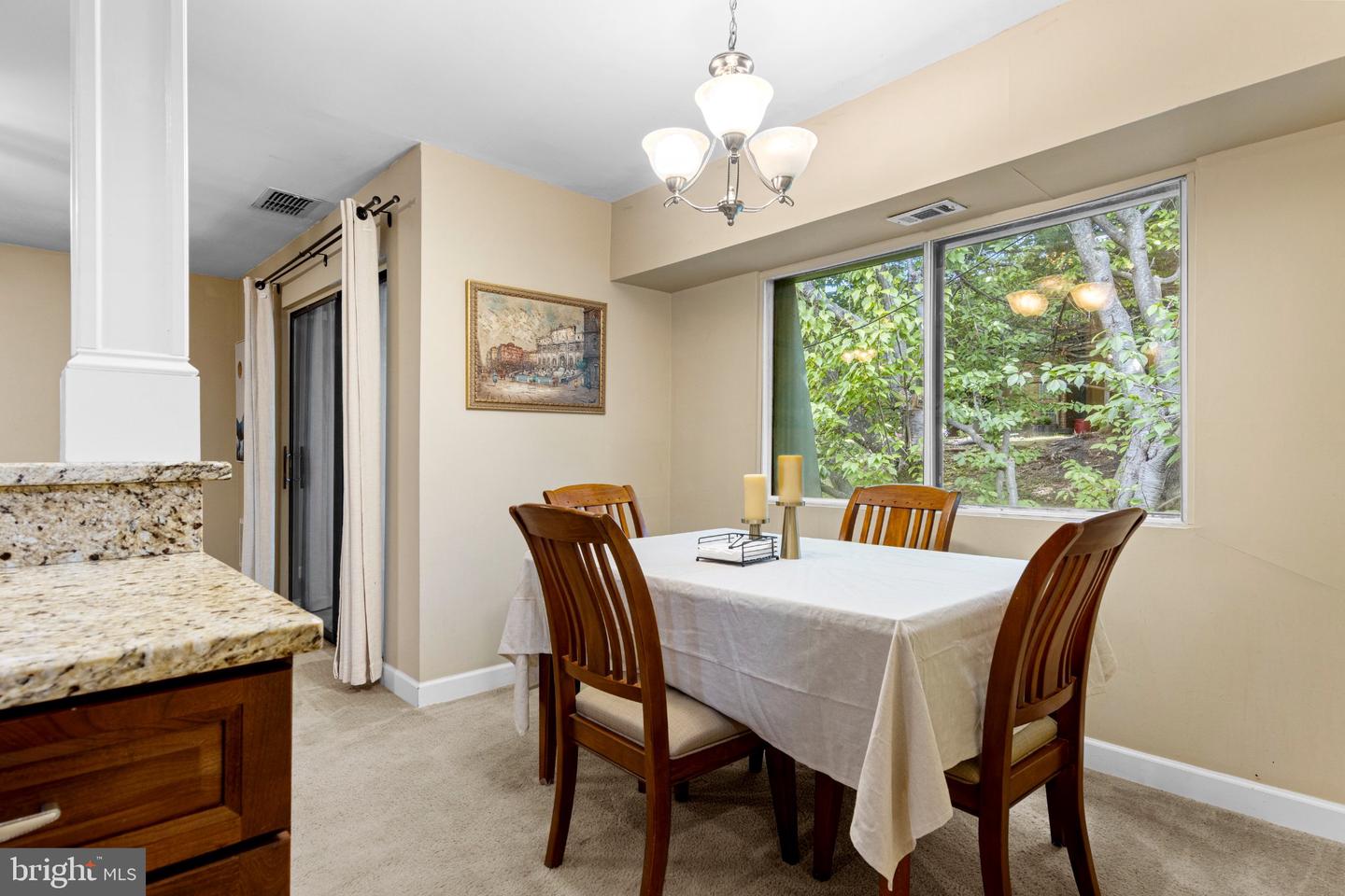 1012 Meadowview Ln #1012 Property Photo 11