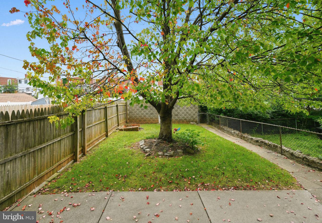 1314 Pine St Property Photo 20