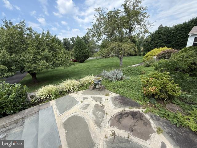 1484 Grasshopper Rd Property Photo 4
