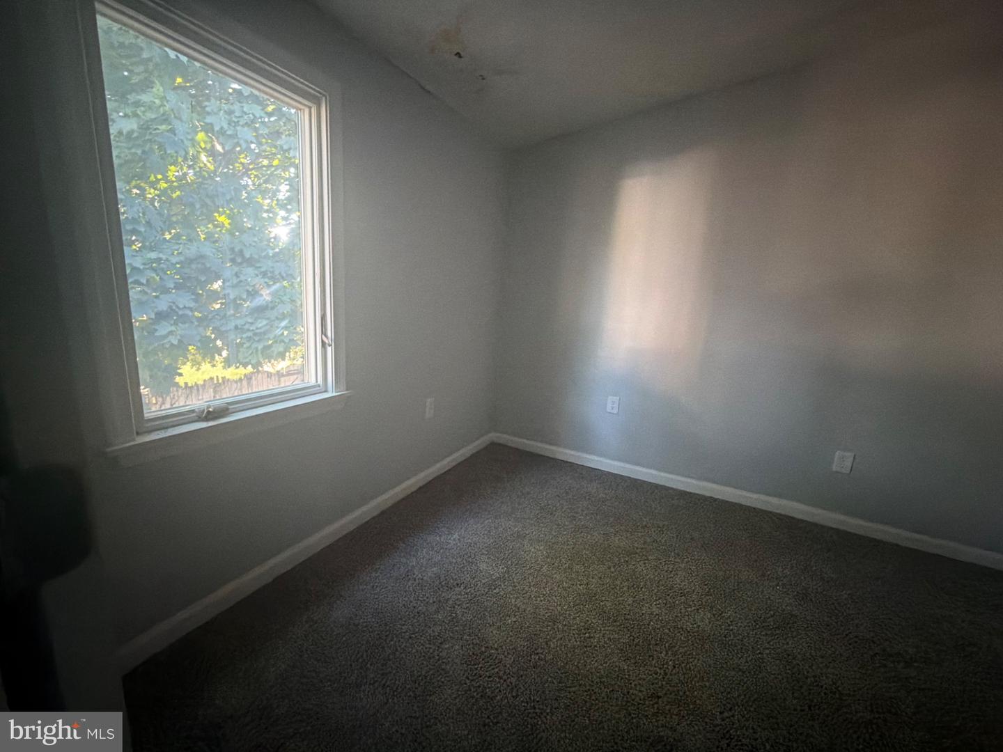 1057 South St #rear Property Photo 10