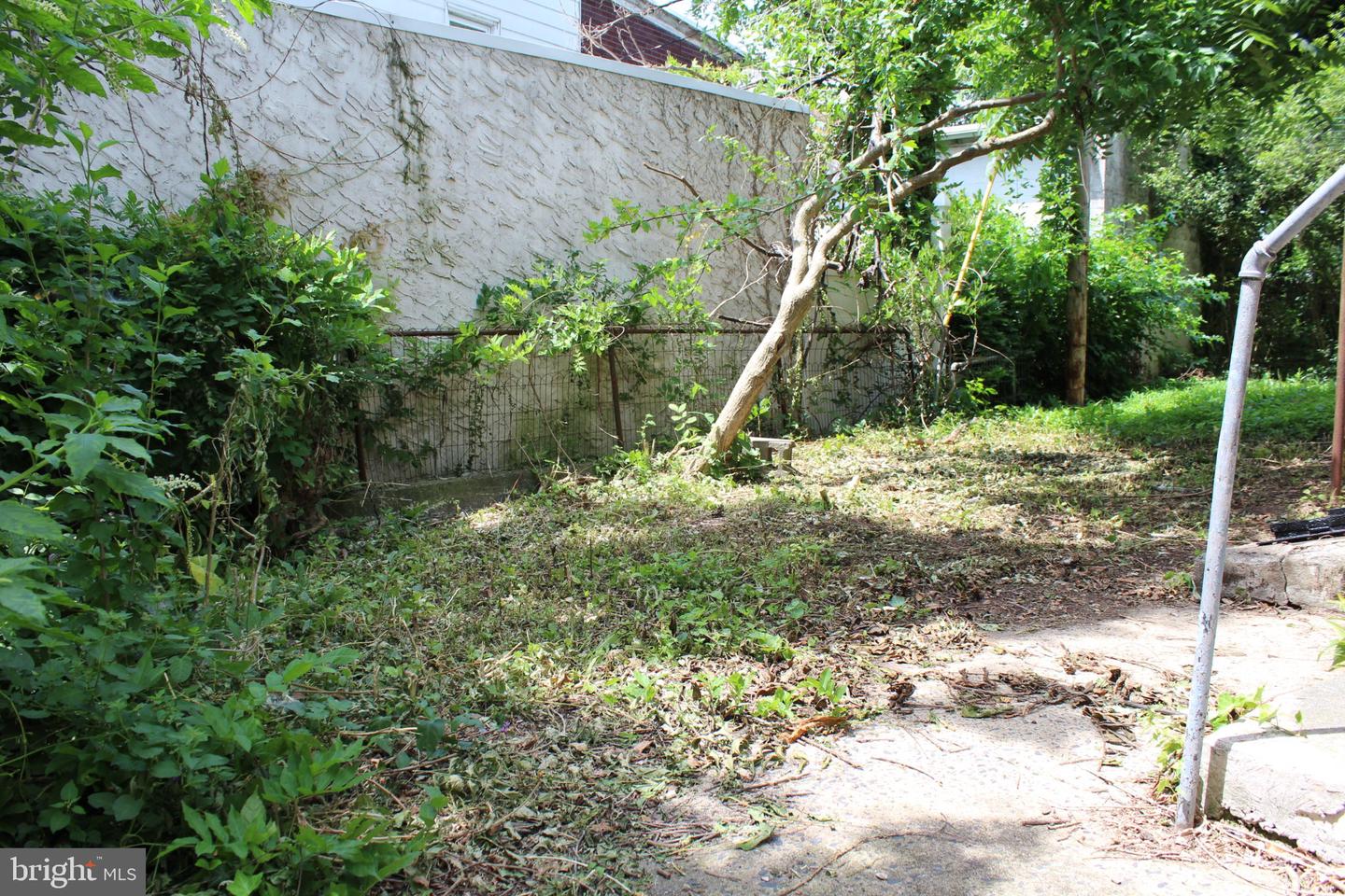50 E 2nd St Property Photo 6