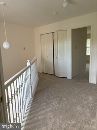 31 Viburnum Ct Property Photo 27