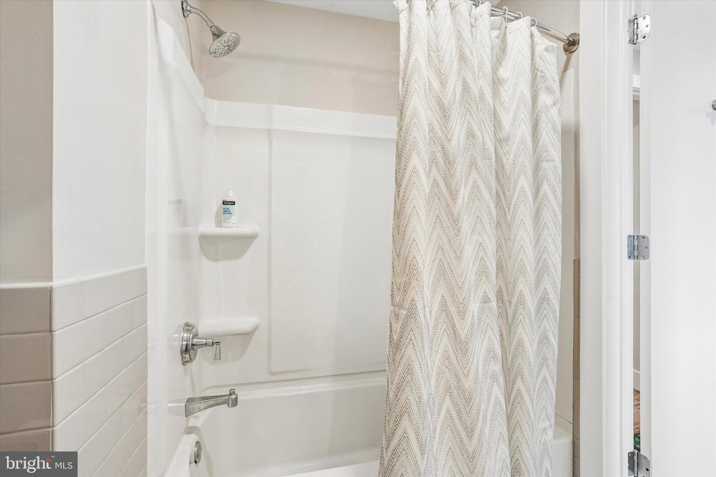 909 E Willow Grove Ave #305 Property Photo 22