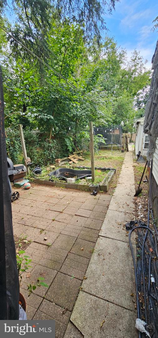 426 Walnut St Property Photo 13