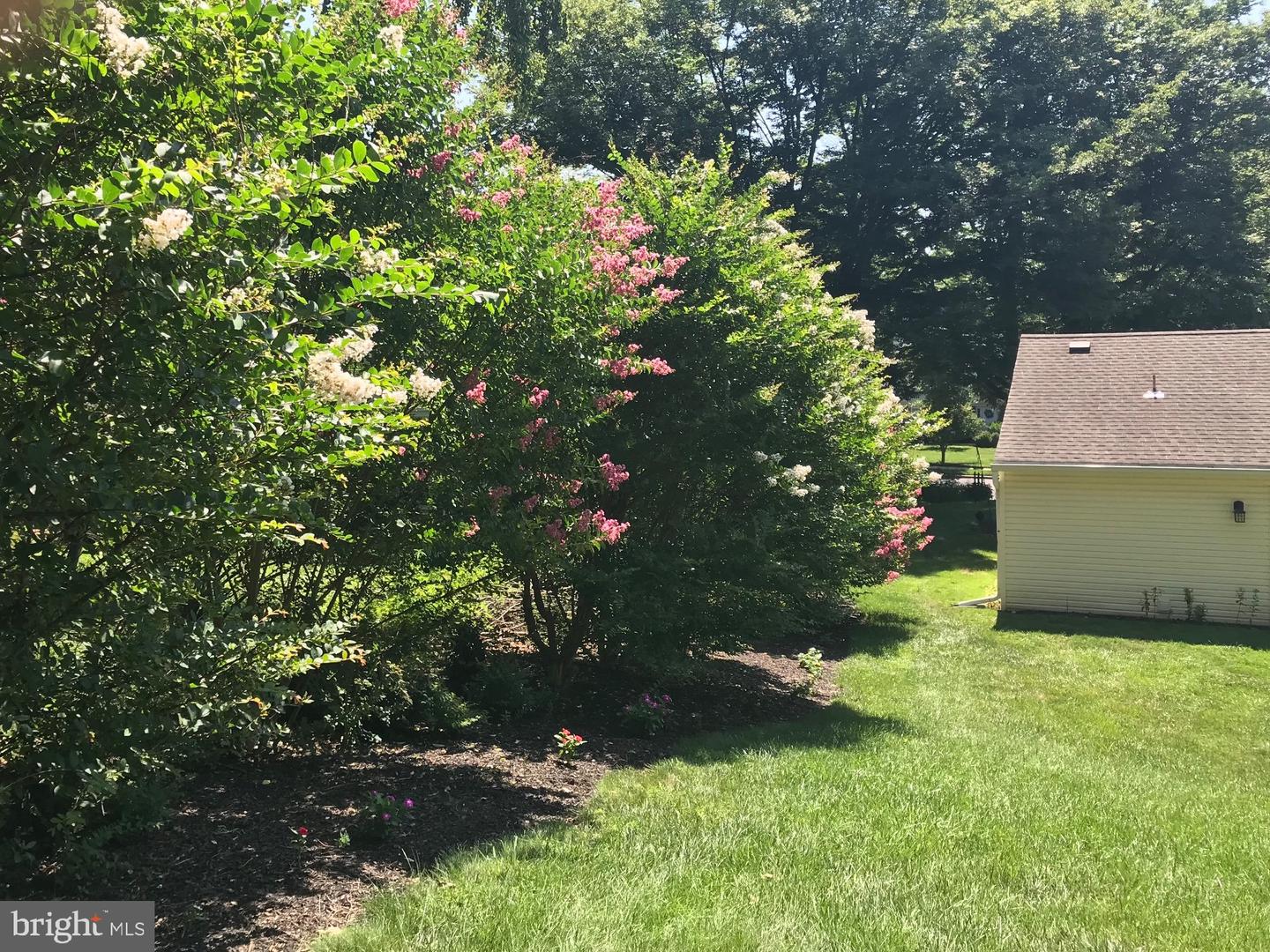 345 Colonial Ave Property Photo 11