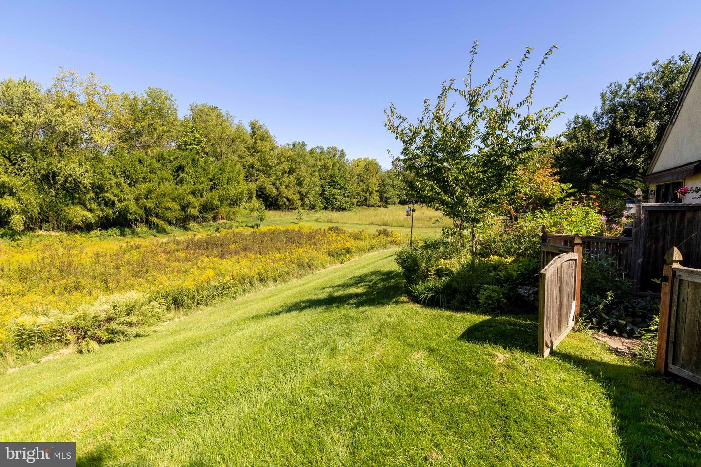 145 Splitrail Ln # Property Photo 43