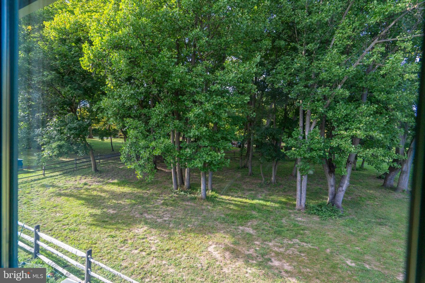 901 Morris Rd Property Photo 29