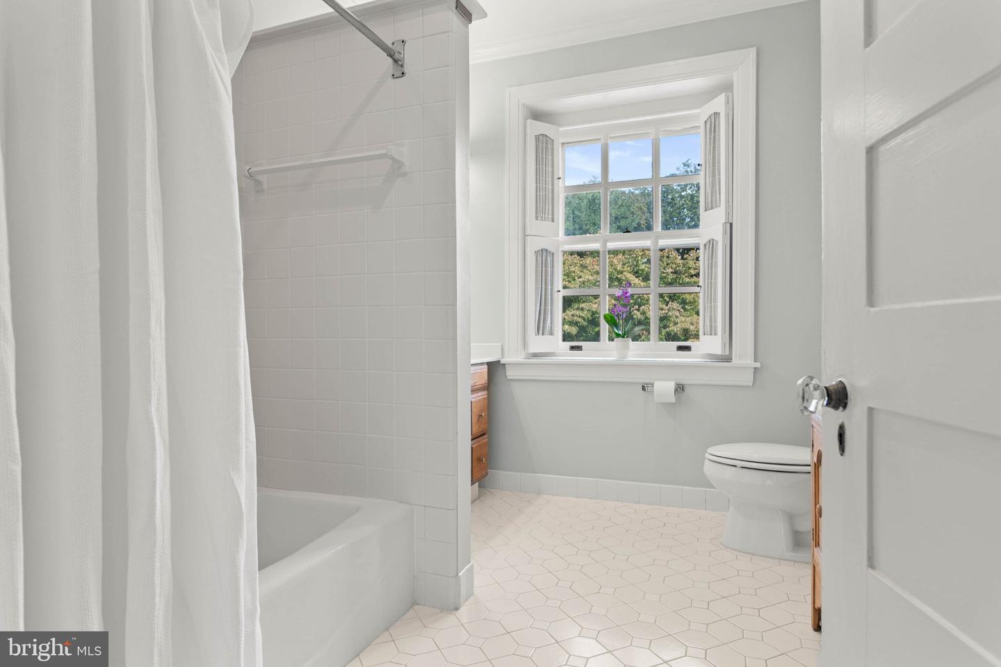 126 Edgewood Property Photo 42