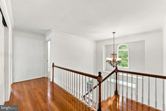 1840 Meredith Ln Property Photo 23