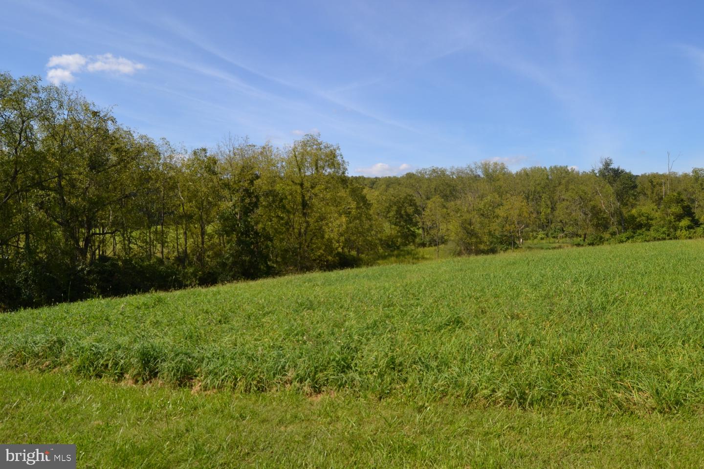 155 Hunsberger Rd # Property Photo 19
