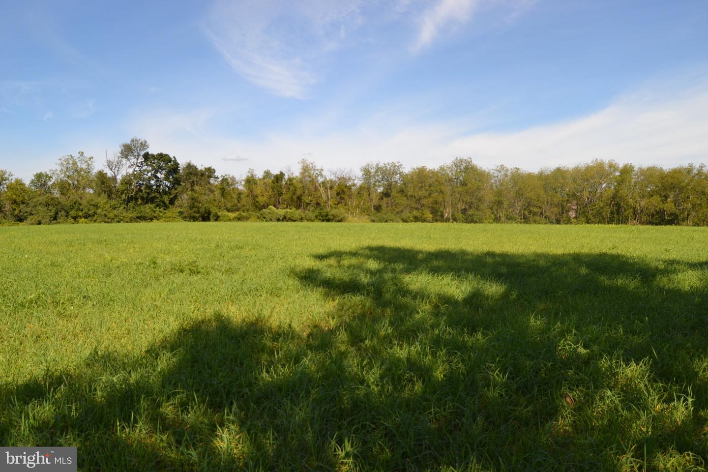 155 Hunsberger Rd # Property Photo 20