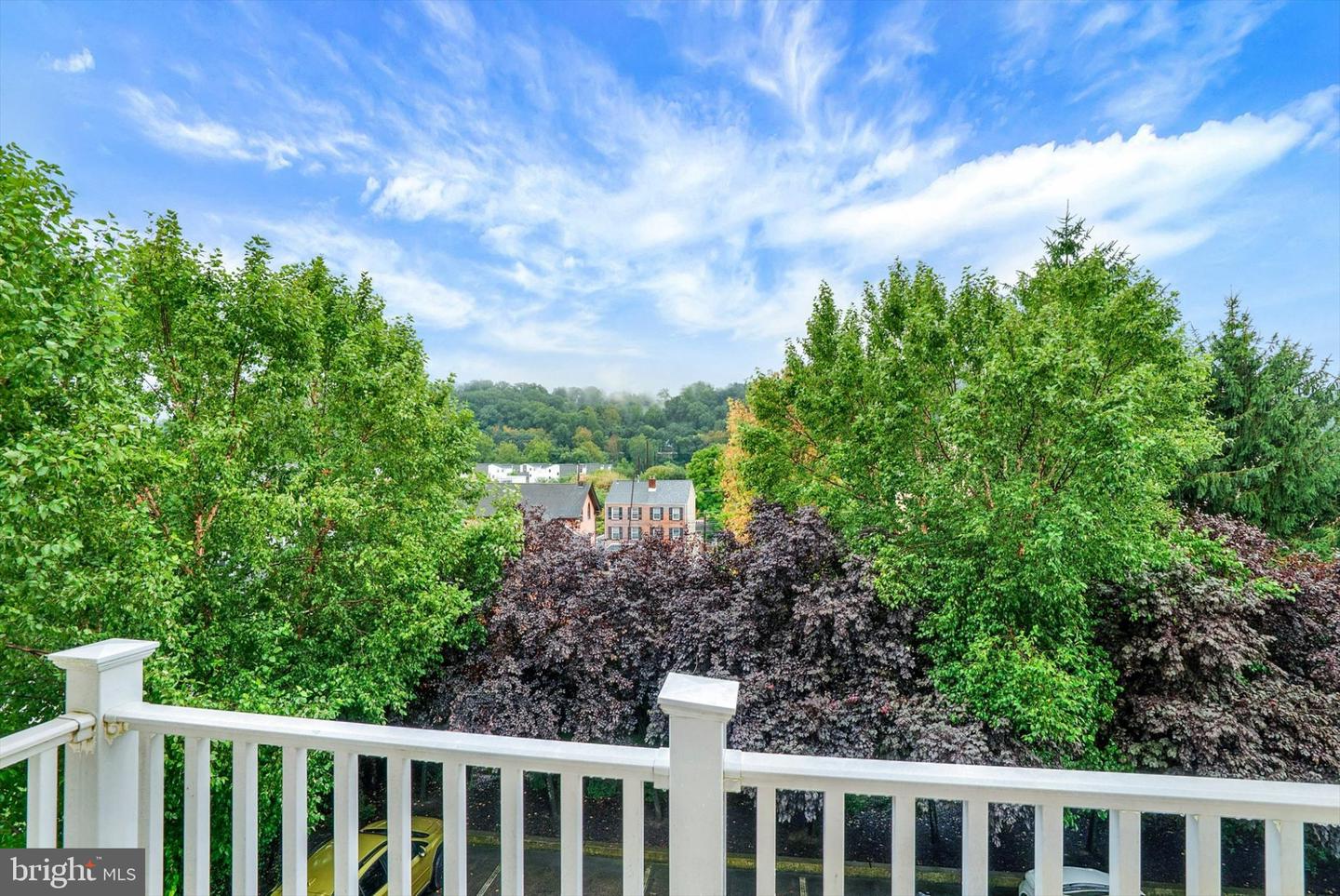 807 Spring Mill Ave #b Property Photo 33