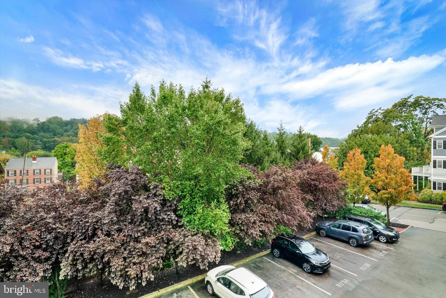 807 Spring Mill Ave #b Property Photo 34