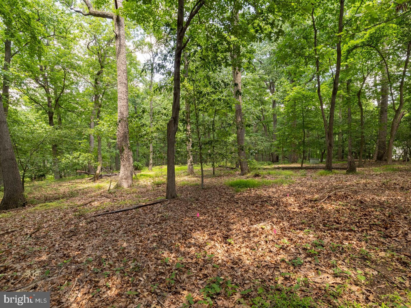 30 High Point E Property Photo 63