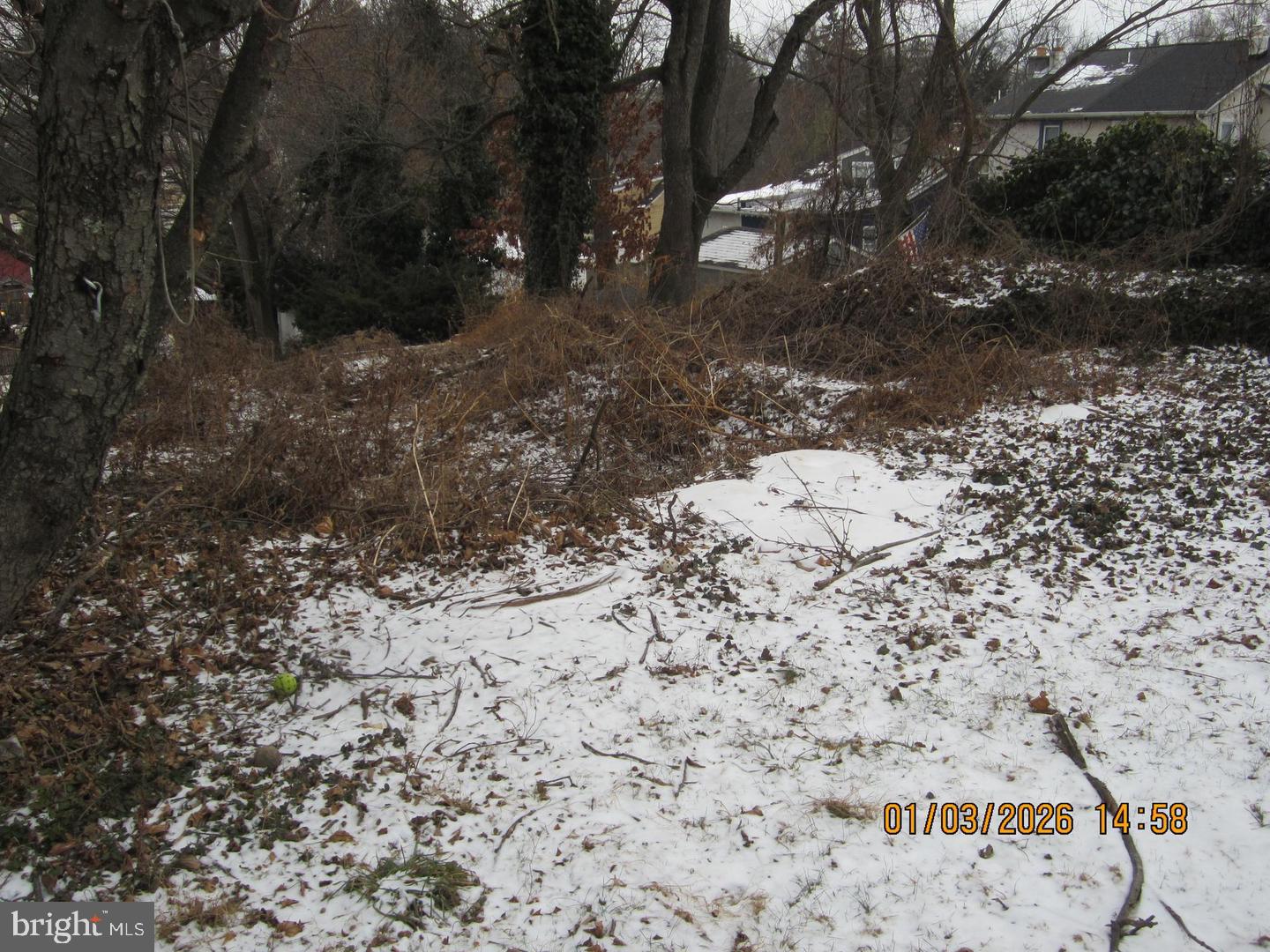 548 Jefferson Ave Property Photo 15