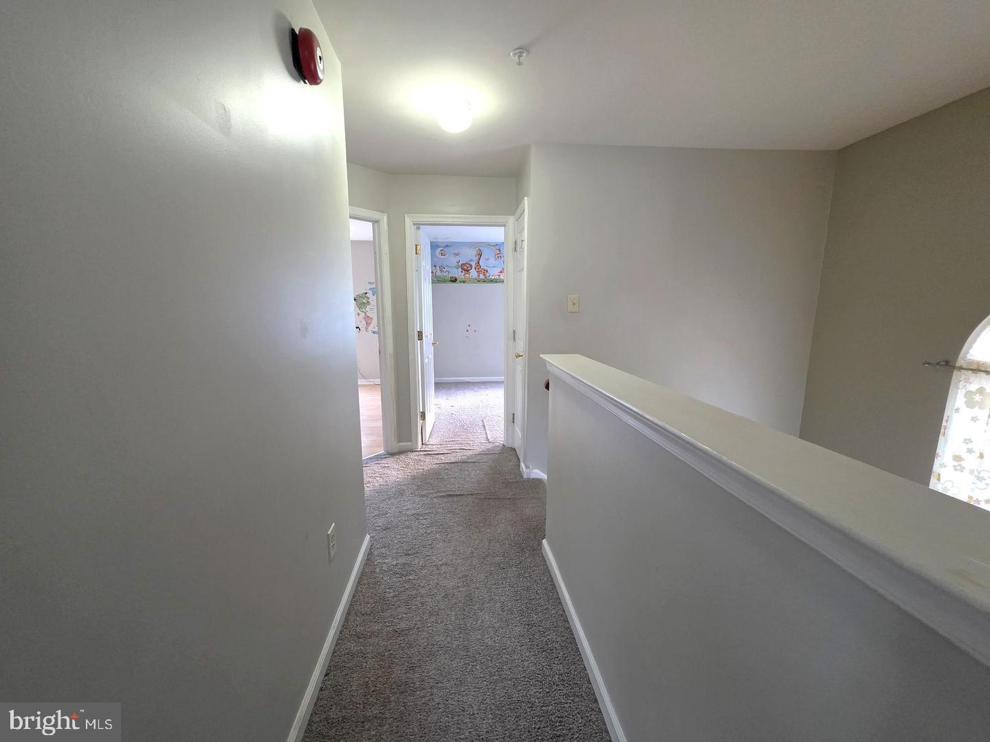 347 Glenn Rose Cir Property Photo 10