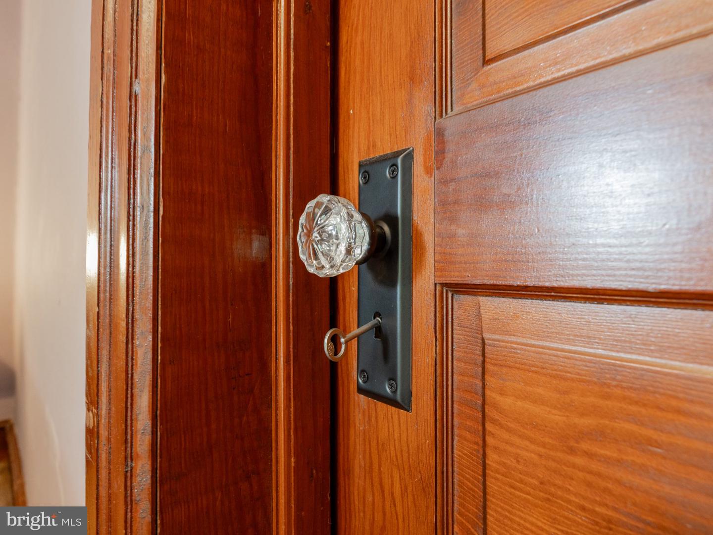 48 Diamond St Property Photo 25