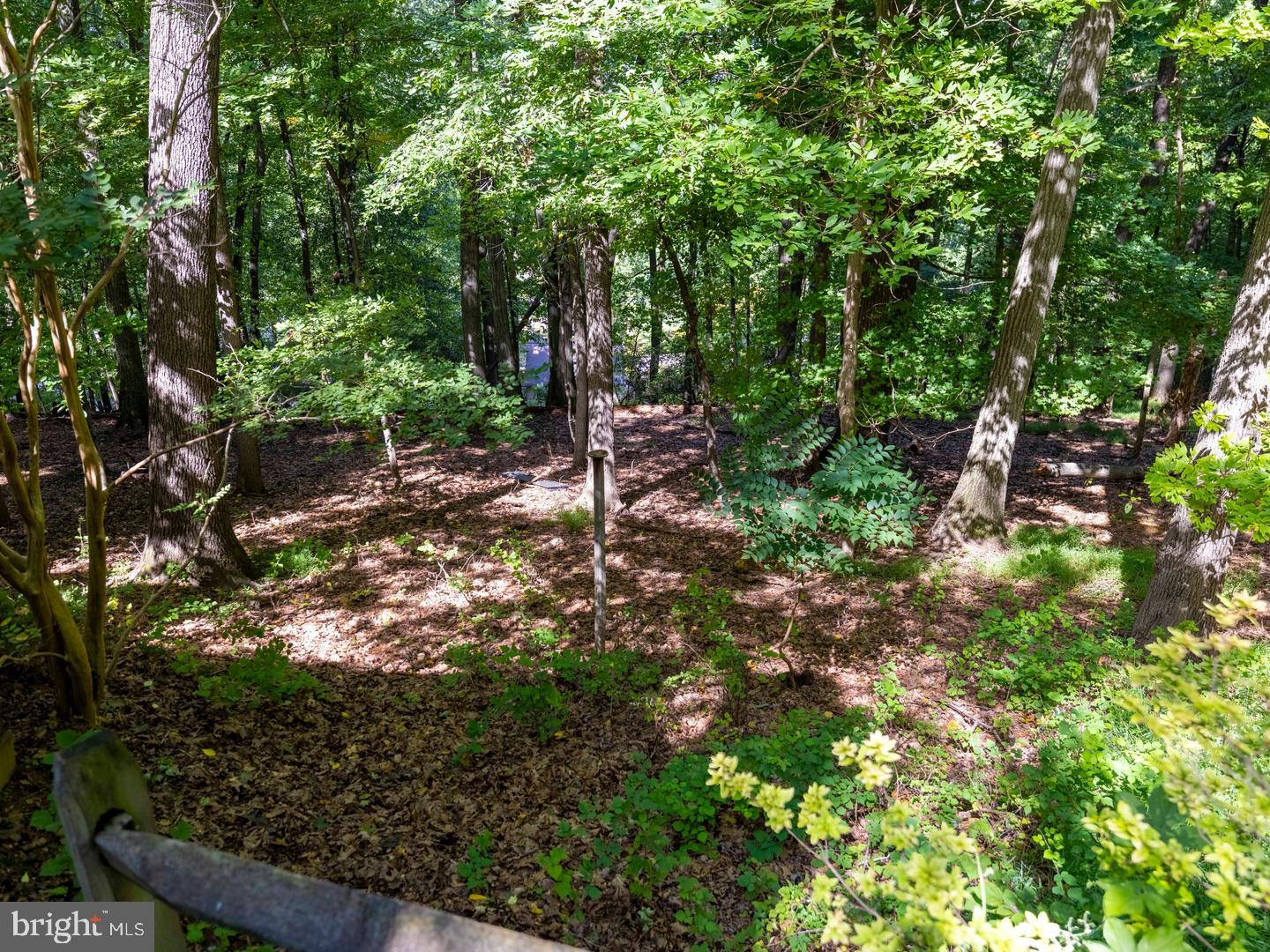 500 Hughes Rd Property Photo 61