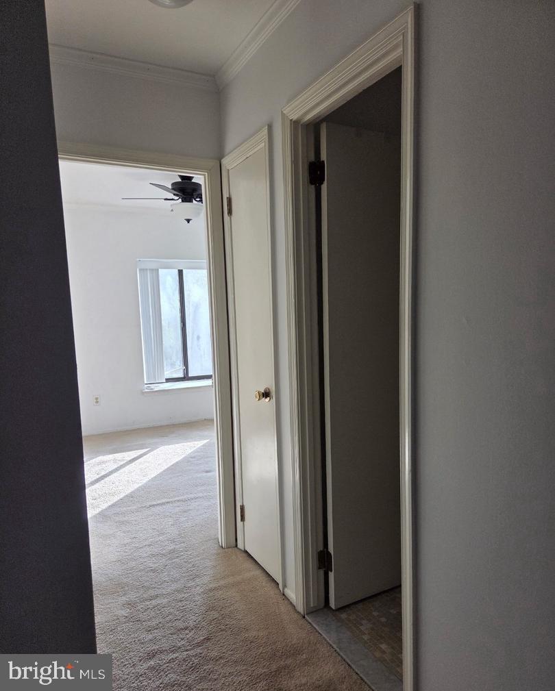805 Stonybrook Dr #805 Property Photo 14