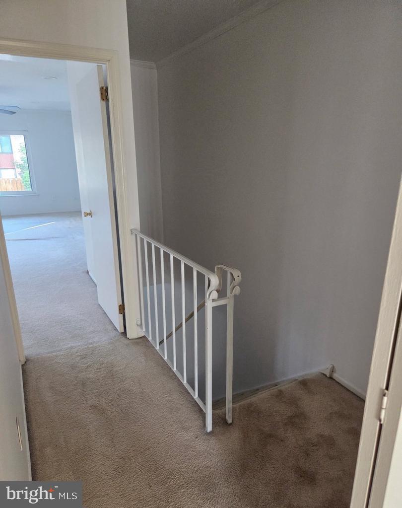 805 Stonybrook Dr #805 Property Photo 19