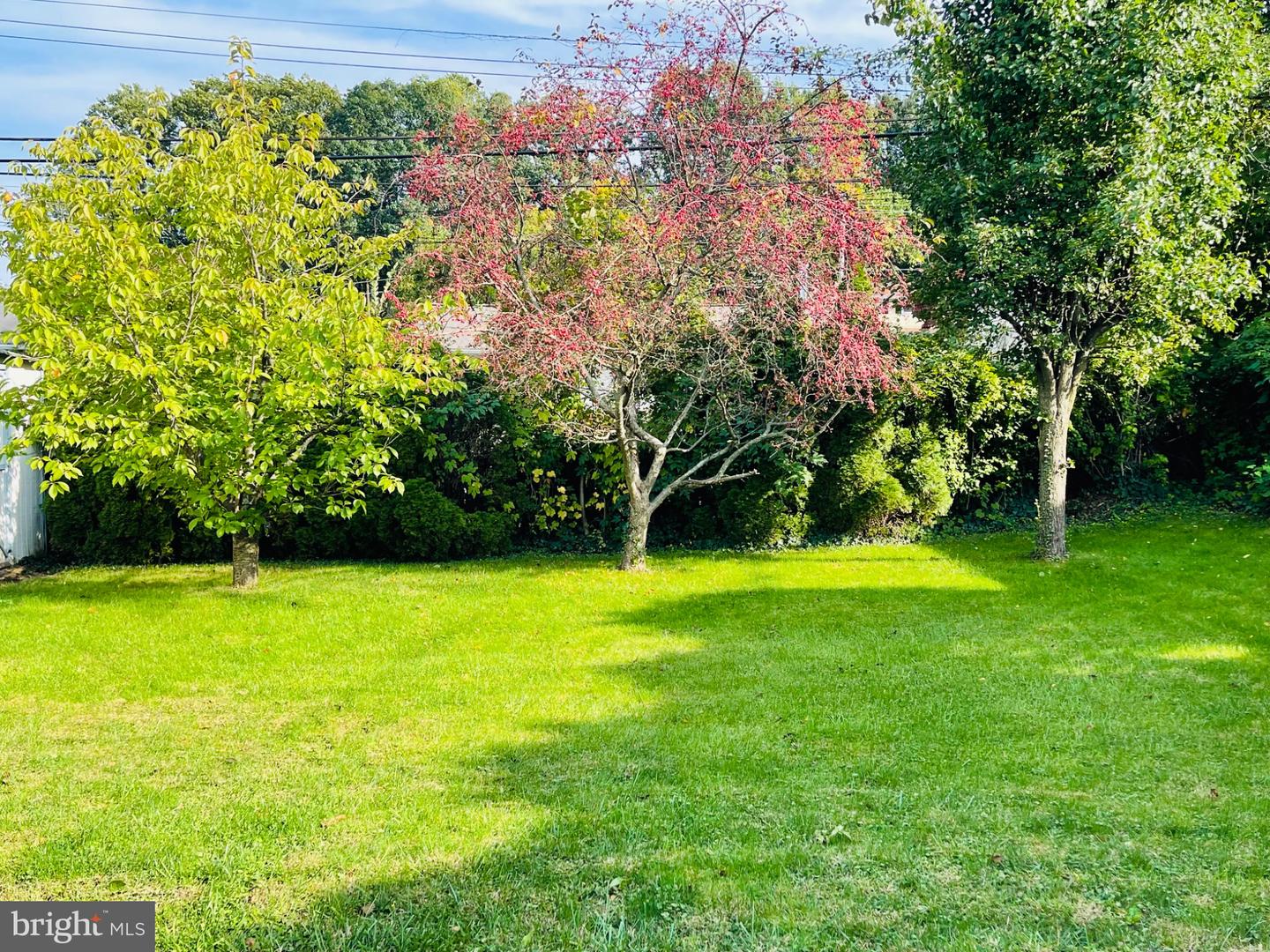 182 Campmeeting Rd # Property Photo 33