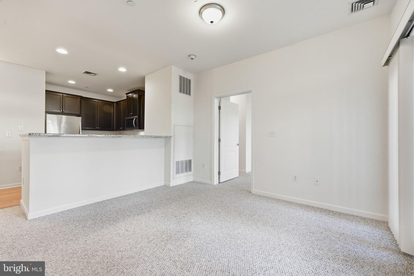 264 Carson Terrace Ter Property Photo 12